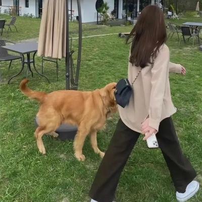我们无法阻止